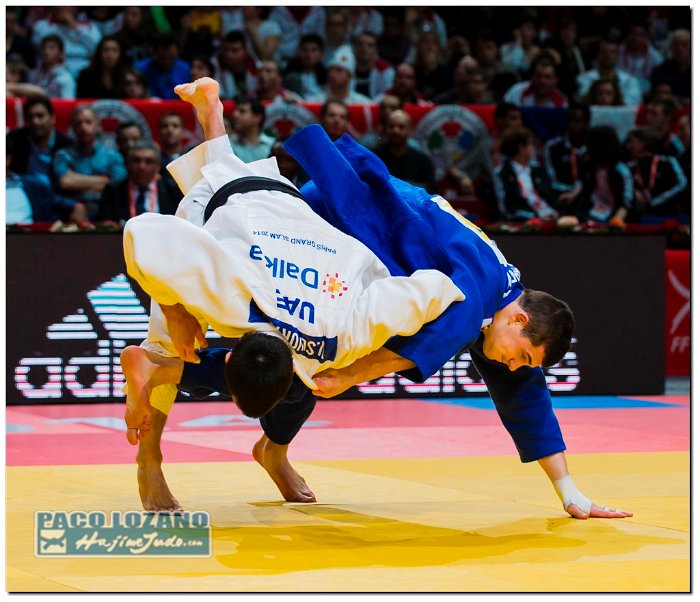 Paris 2014 by P.Lozano cat -73 kg (246)